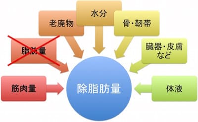 除脂肪量は筋肉量、脂肪量、老廃物、水分、骨、靭帯、臓器、皮膚、体液野中から脂肪量だけを抜き取った数値です。
